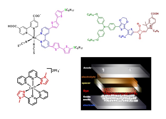 This is an image